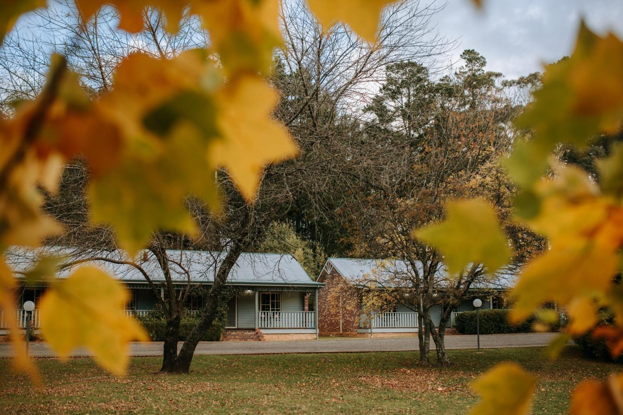 Villa Federation Gardens&Possums Hideaway Blackheath Exterior foto