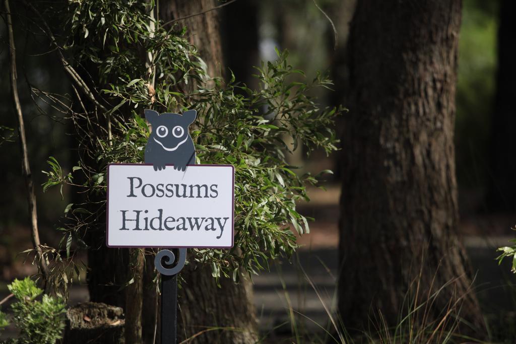 Villa Federation Gardens&Possums Hideaway Blackheath Exterior foto