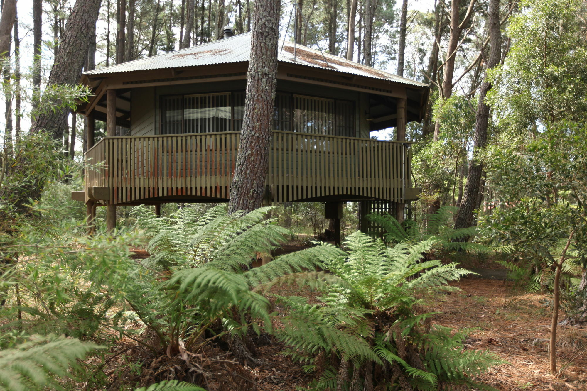Villa Federation Gardens&Possums Hideaway Blackheath Exterior foto