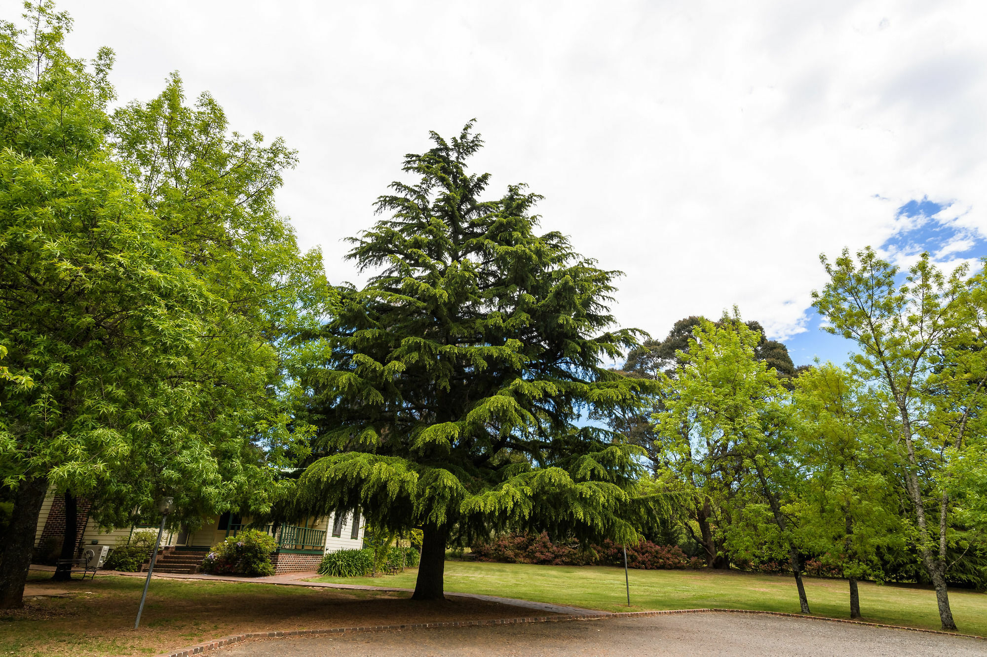 Villa Federation Gardens&Possums Hideaway Blackheath Exterior foto